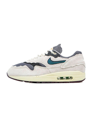 Кроссовки Nike Air Max 1 Protection Pack (2350605)