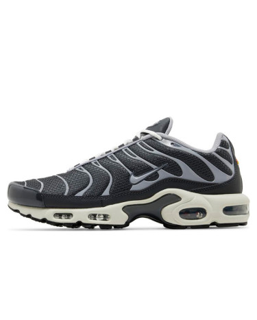 Sneakers Nike Air Max Plus Iron Grey DZ2655-001 (2351565)