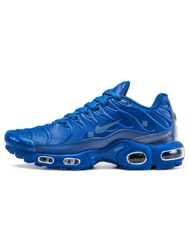 Sneakers Nike Air Max TN Plus Blue (2351661)