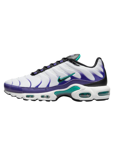 Кросівки Nike Air Max Plus Grape DM0032-100 (2351917)
