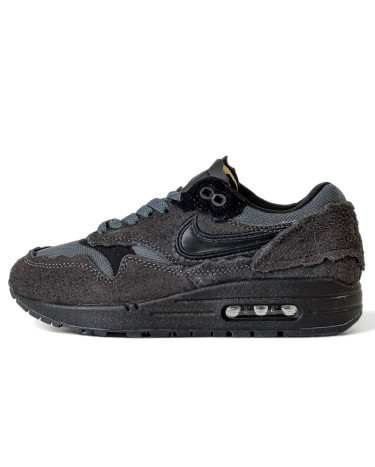 Sneakers Nike Air Max 1 Protection Pack Blackberry (2351982)