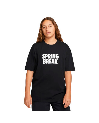 Футболка Nike NK SB TEE SPRING BREAK DX9457-010 (2352029)