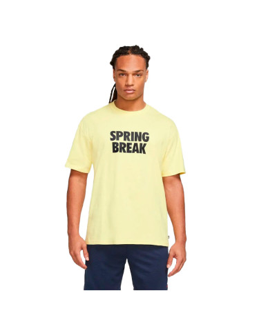Футболка Nike NK SB TEE SPRING BREAK DX9457-706 (2352030)
