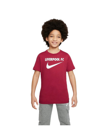 Футболка Nike LFC NK SWOOSH TEE DJ1535-608 (2353854)