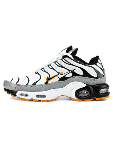 Кроссовки Nike Air Max Plus TN Double Swoosh Mean Grey White (2353995)