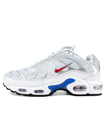 Кросівки Nike Air Max Plus Euro Tour Particle Grey CW7575-001 (2353996)