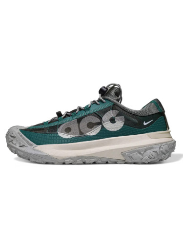 Sneakers Nike ACG Mountain Fly Low 2 Bicoastal DV7903-300 (2354603)
