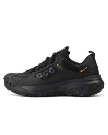 Sneakers Nike ACG Mountain Fly Gore-Tex Total Black (2355308)