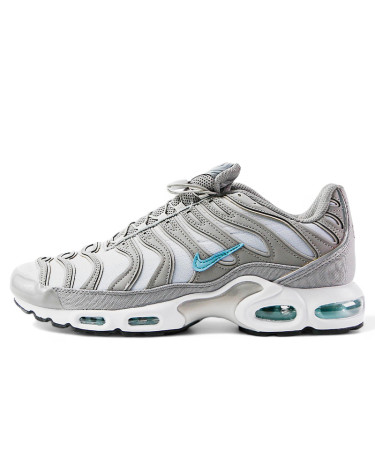 Кросівки Nike Air Max TN Waterproof Grey Blue (2355840)