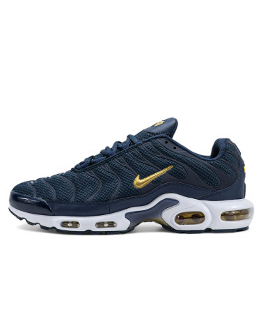 Кросівки Nike Air Max Plus French Football Federation FB3350-400 (2356939)