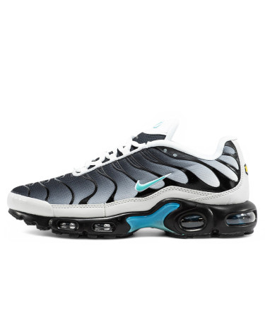 Sneakers Nike Air Max TN Plus Blue Grey (2358028)