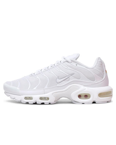 Кроссовки Nike Air Max Plus White DM2362-100 (56446)