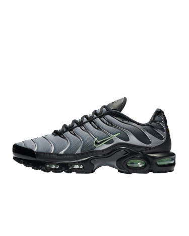 Sneakers Nike Air Max Plus Black Particle Grey Vapour Green CZ7552-001 (57152)